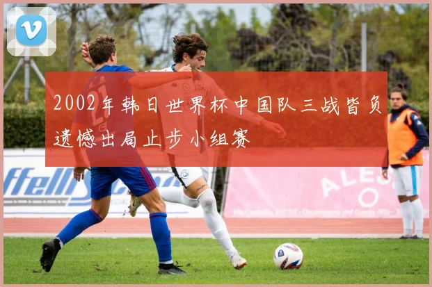 2002年韩日世界杯中国队三战皆负遗憾出局止步小组赛