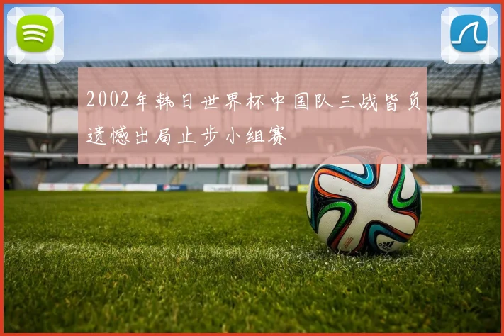 2002年韩日世界杯中国队三战皆负遗憾出局止步小组赛