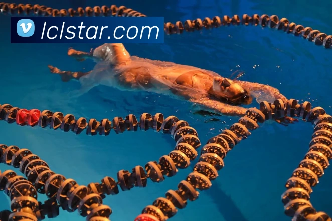 App Interface Preview